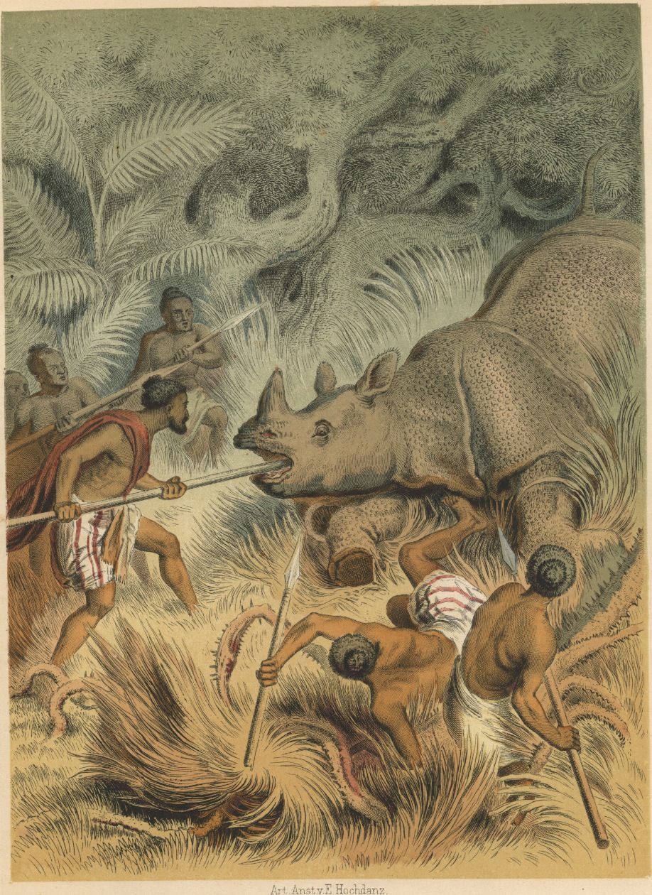 Hunting the Indian rhino in Laos