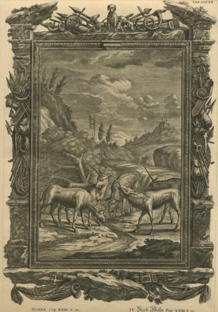 Scheuchzer five unicorns