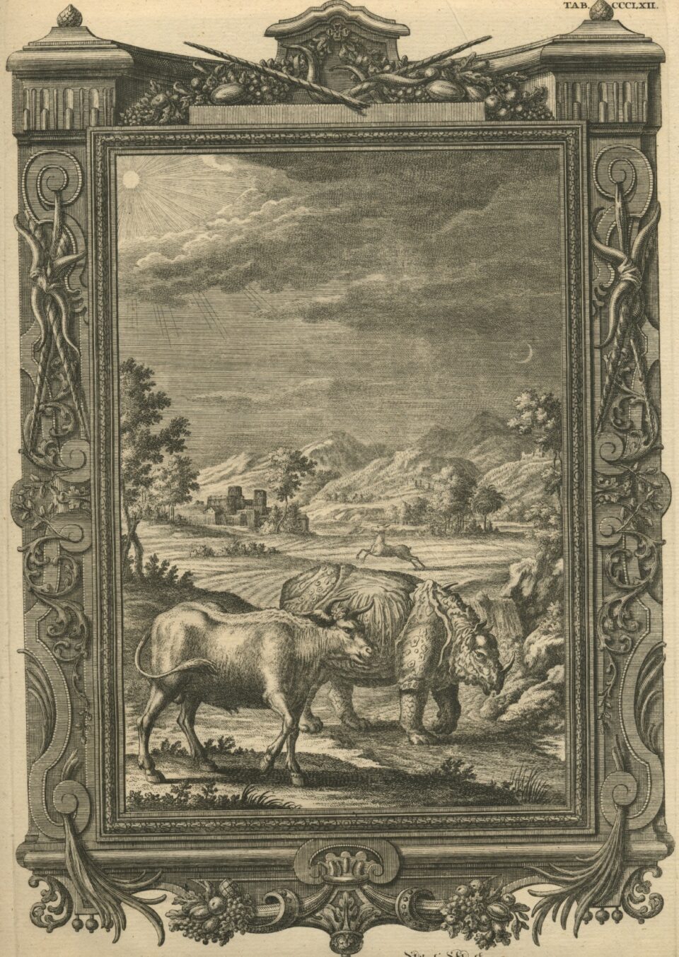 Scheuchzer rhino with cow