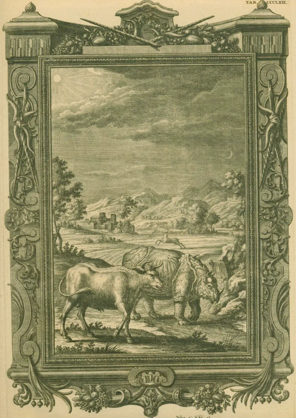 Scheuchzer rhino with cow