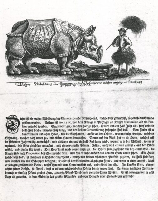 Clara begins her travels