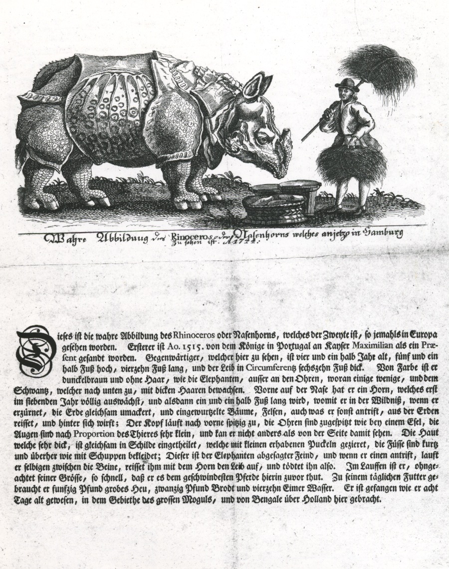 Clara begins her travels