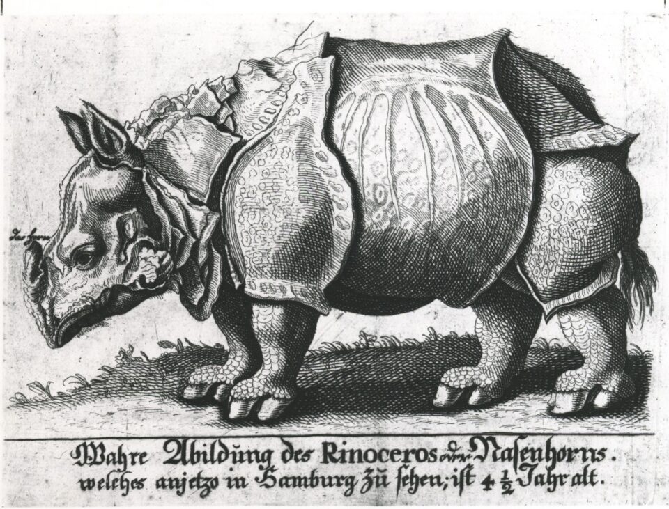 Clara visits Hamburg