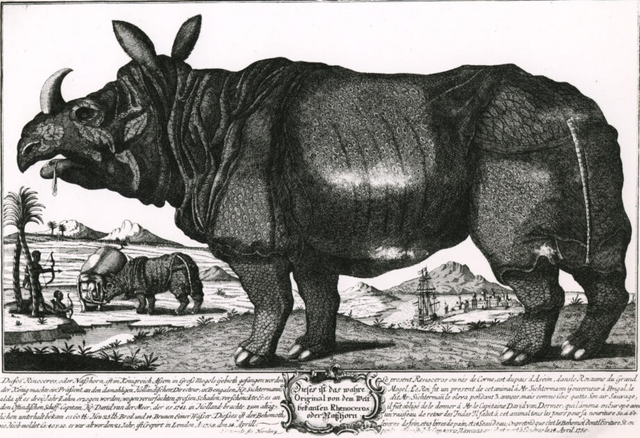 Berndt 1758 Clara’s death