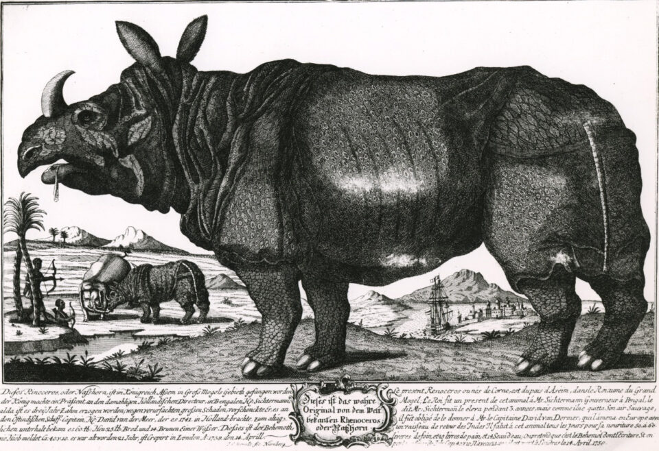 Berndt 1758 Clara’s death