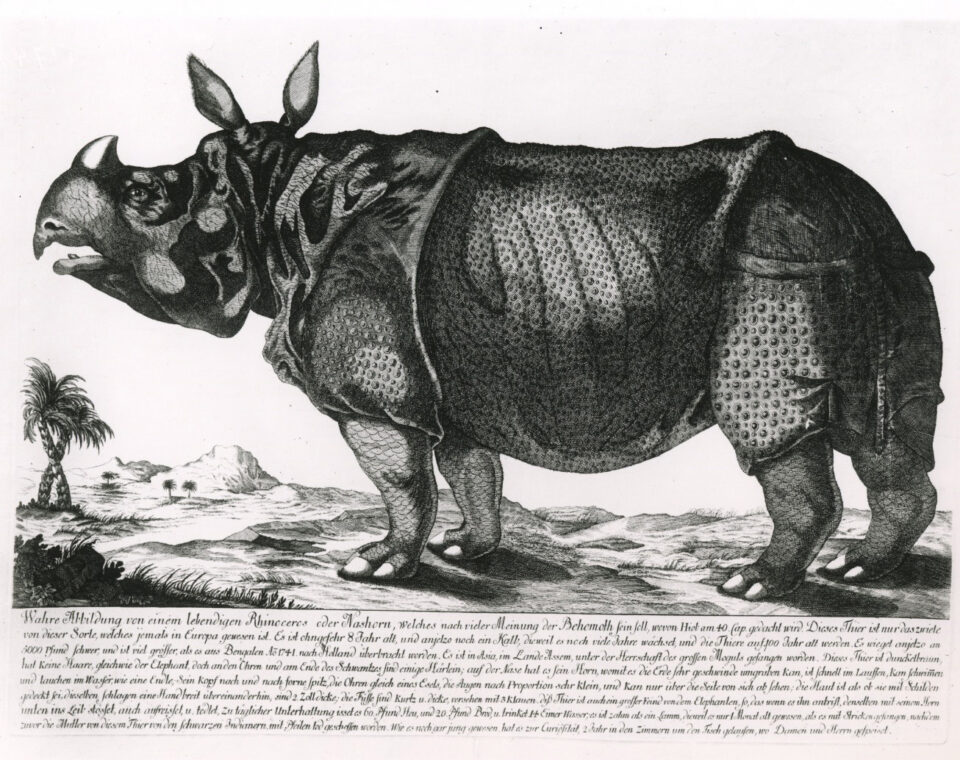 Early broadsheet of Clara