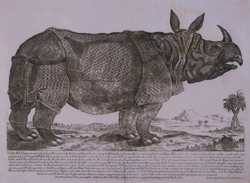 late version of Bodenehr