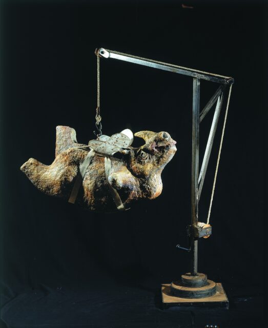 Campi 2001