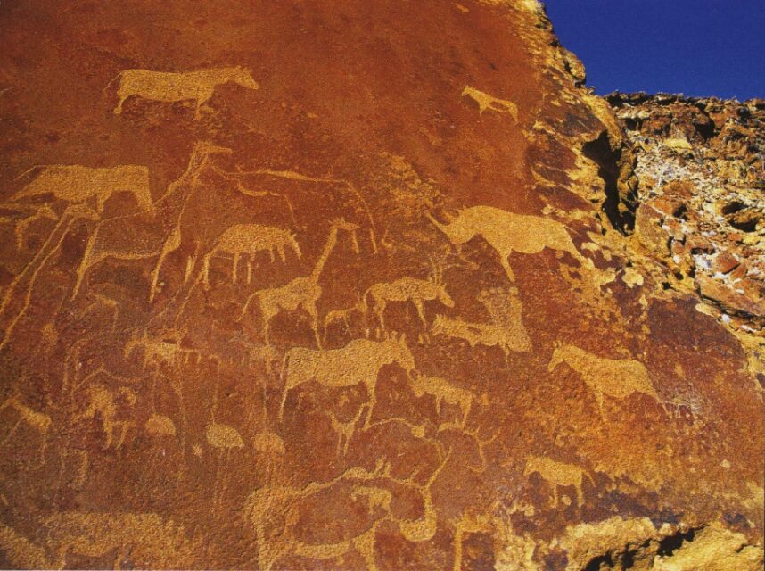 markings in Namibia