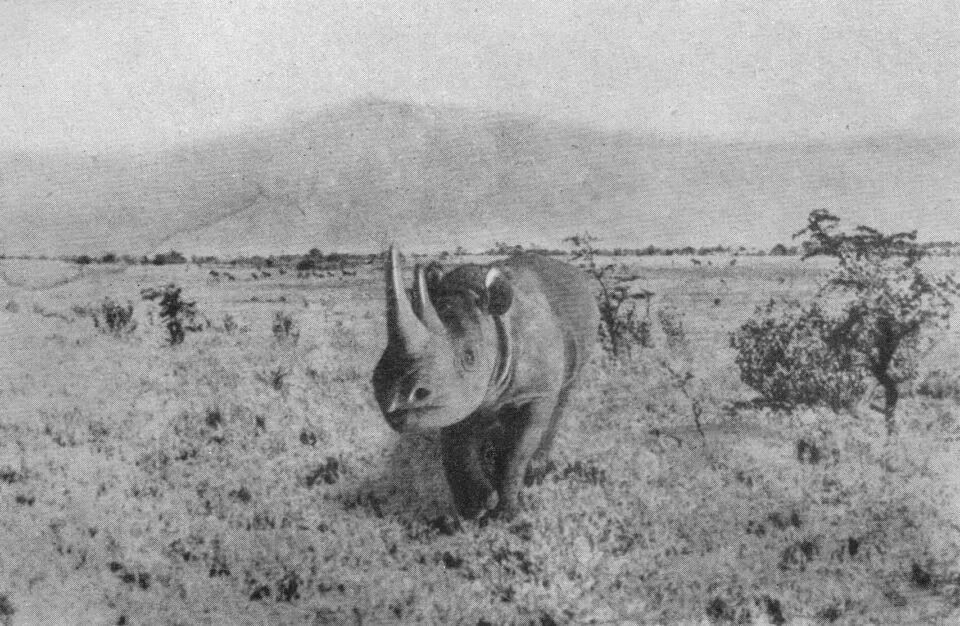 Msaragba 1940