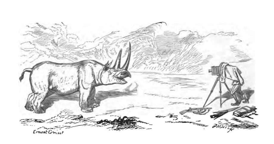 Griset 1867
