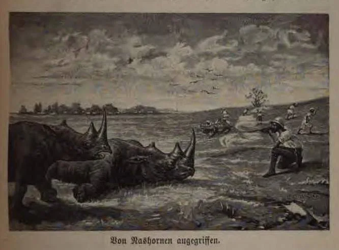 Hoehnel attacked