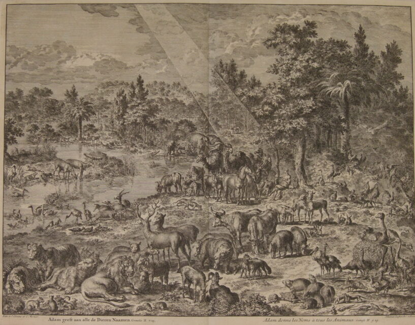 Adam naming the animals