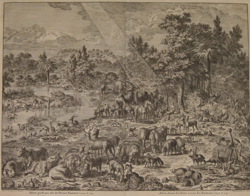 Adam naming the animals