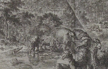 detail from Luyken print