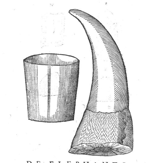 Ambrosini 1642