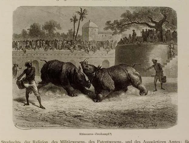 Schlagintweit 1880