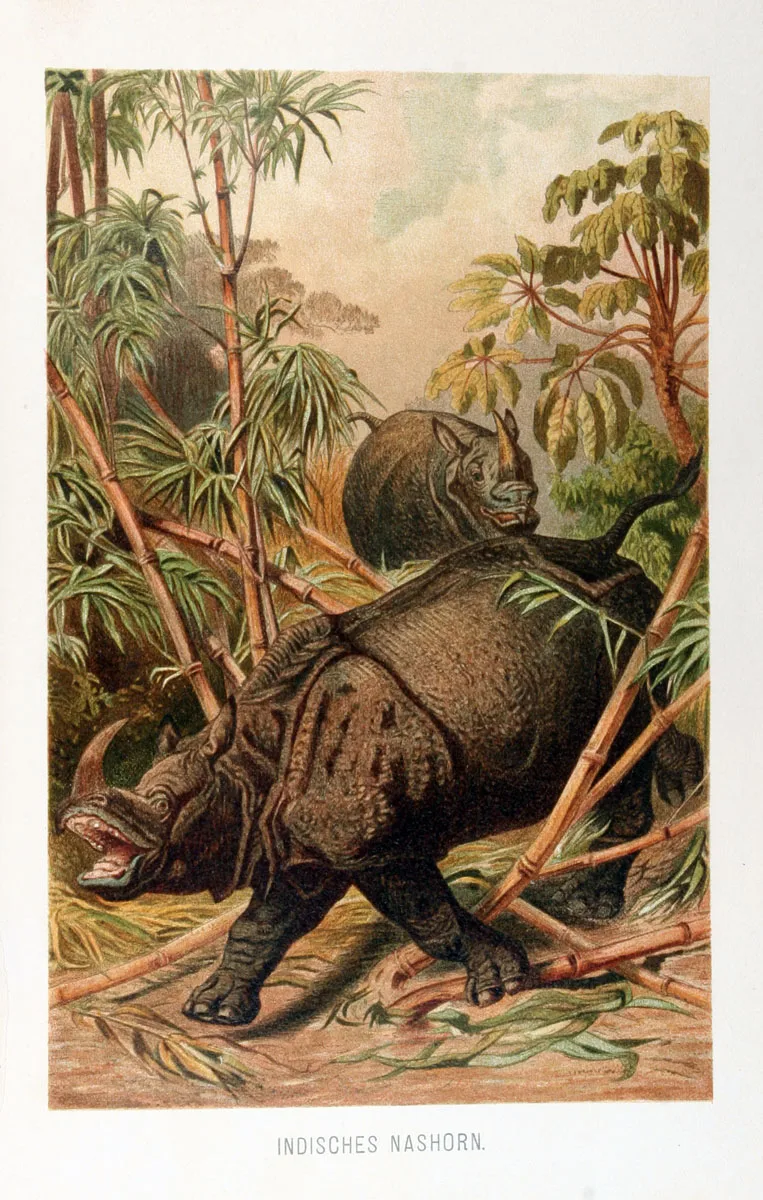 Brehm 1900