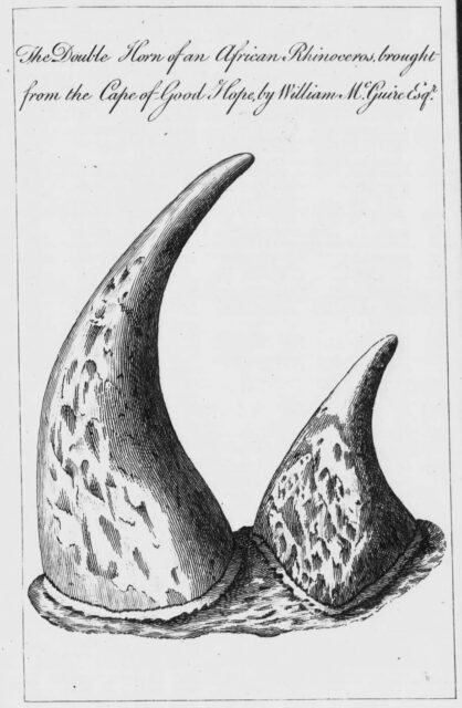 Parsons 1768