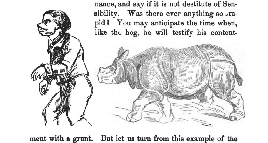 Redfield 1866