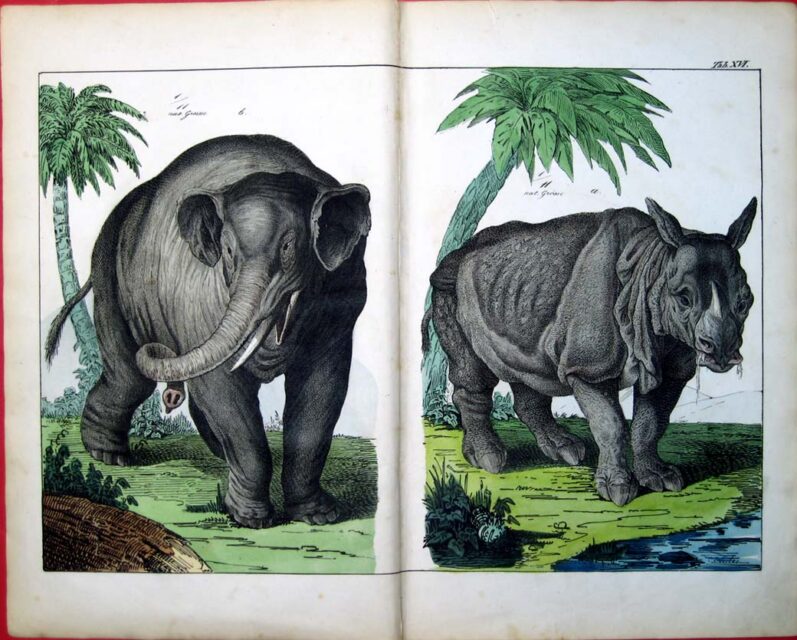 G.H. Schubert 1842 ed.