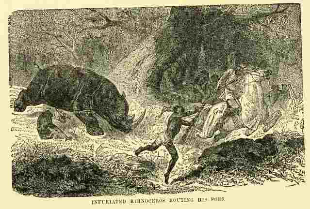 Rhino foes