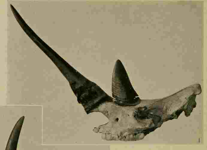 Paleontology Department