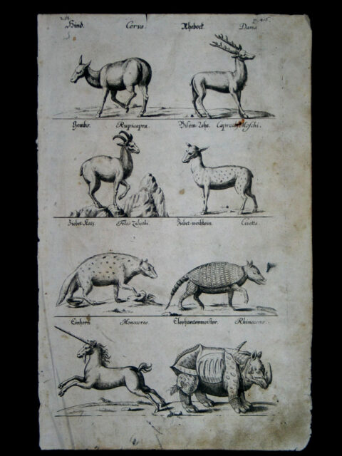 German Natural History