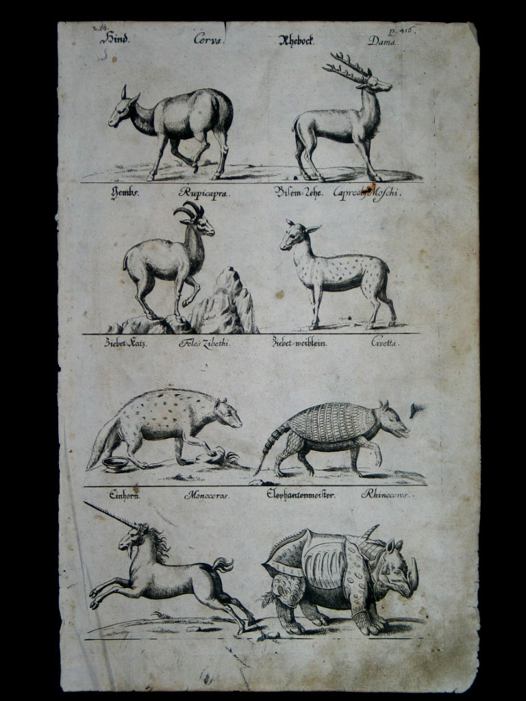 German Natural History