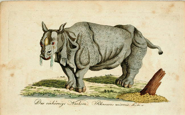 Bechstein after Ridinger