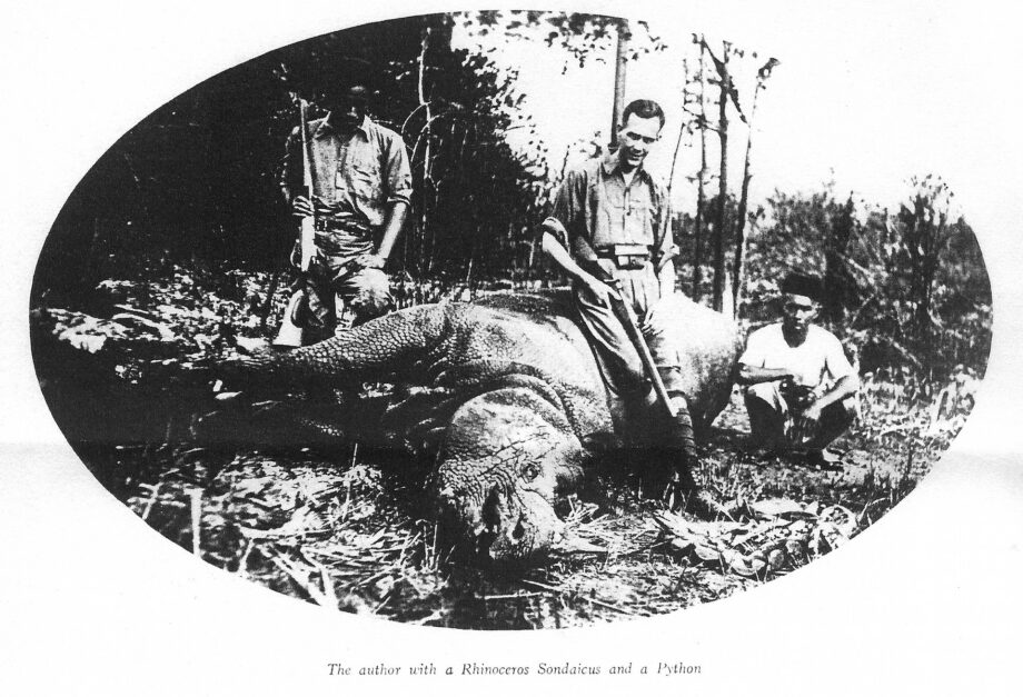 Hazewinkel’s rhino