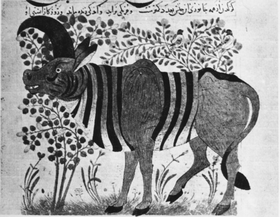 Persian Bestiarium