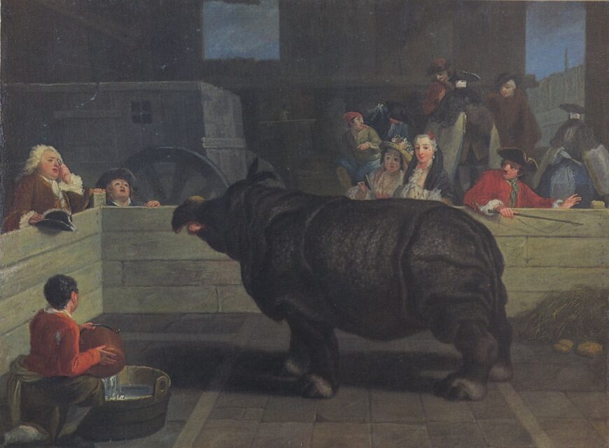 Clara on view in Venice