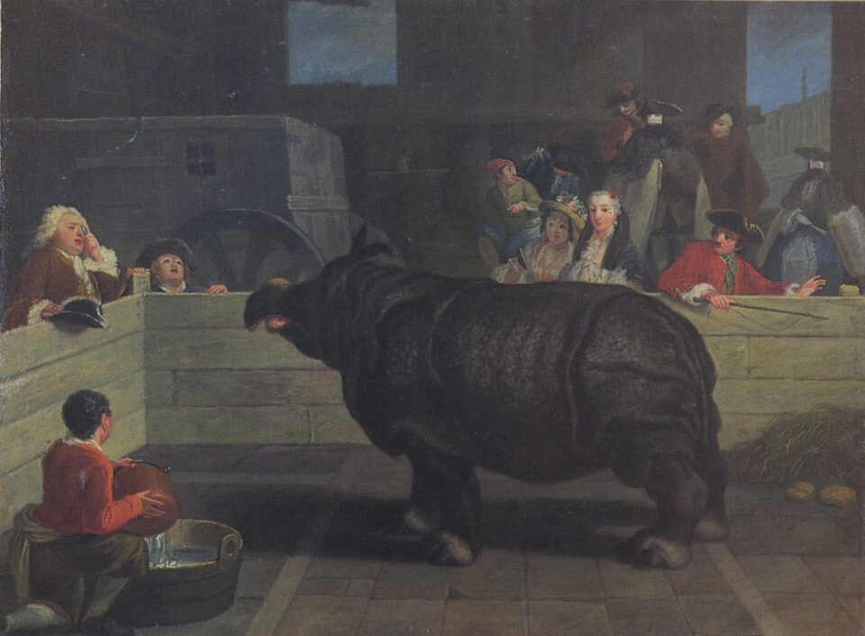 Clara on view in Venice