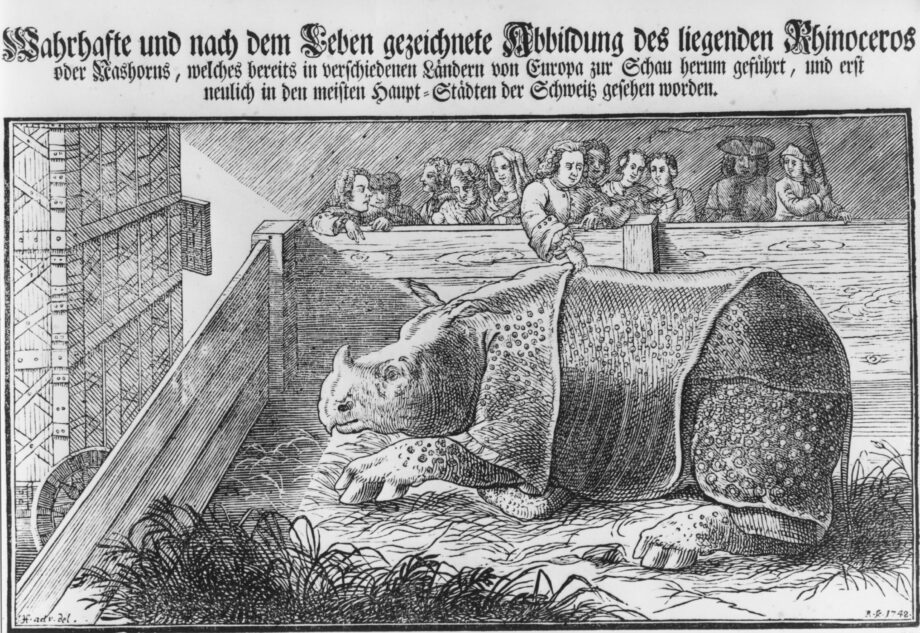 Clara in Zurich 1748