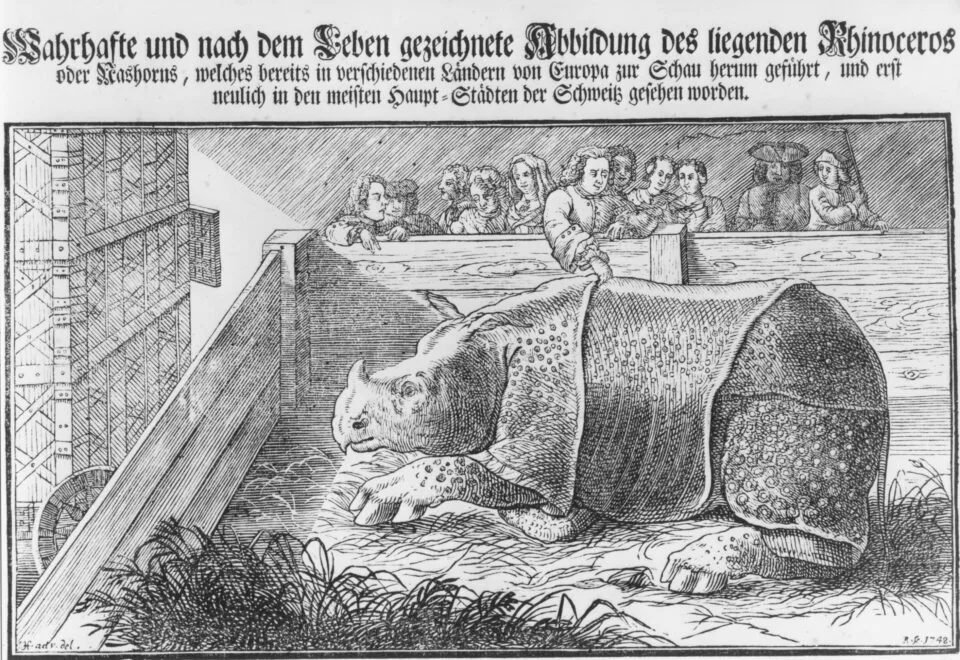 Clara in Zurich 1748