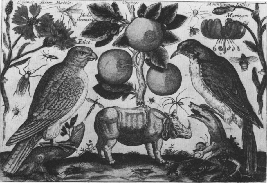 T.Johnson pattern book