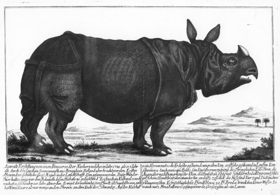 Early broadsheet of Clara