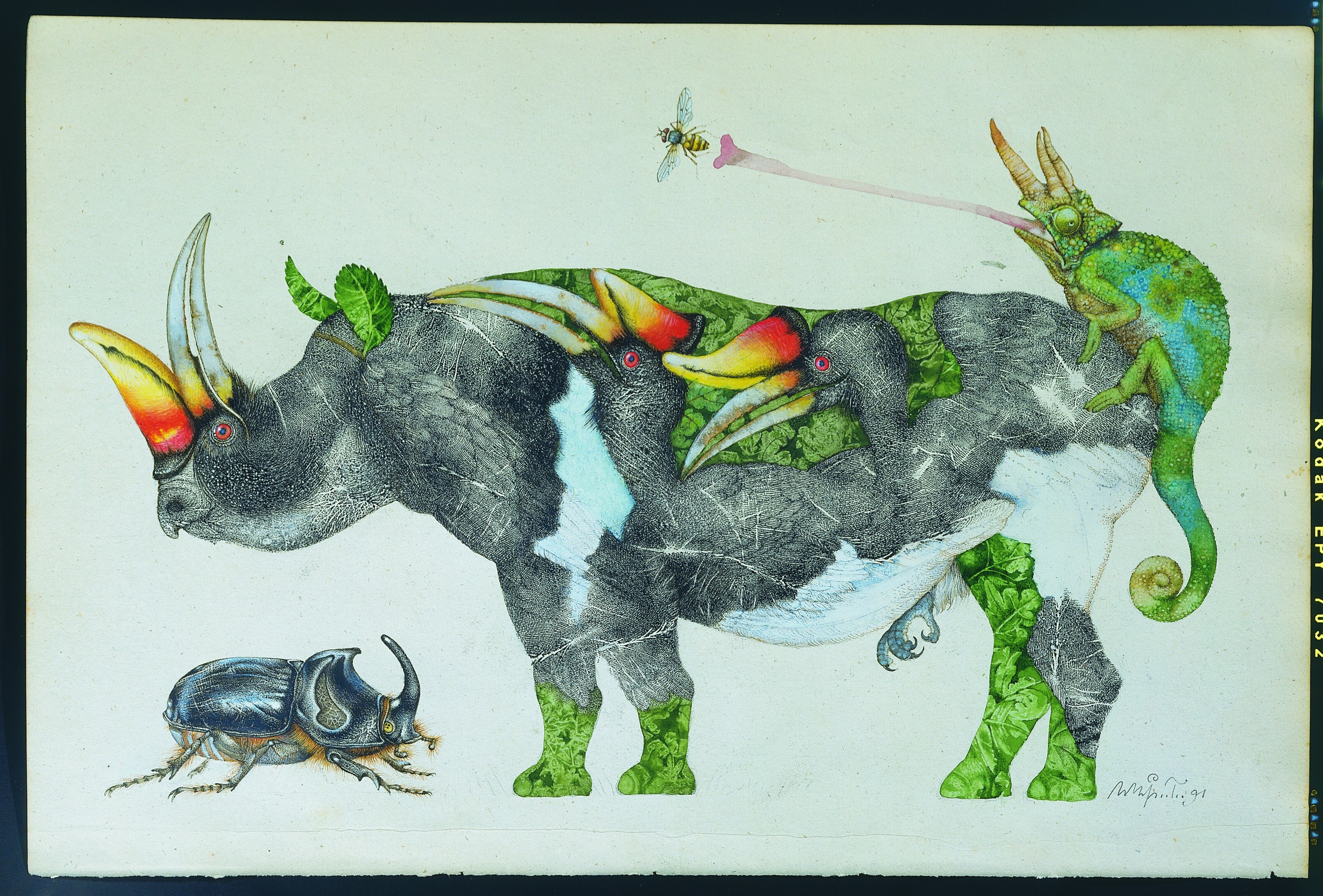 Precthl Score Prechtl 1989 — Rhino Resource Center