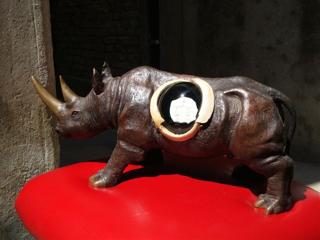 Gigi Bon: rhinobilanca