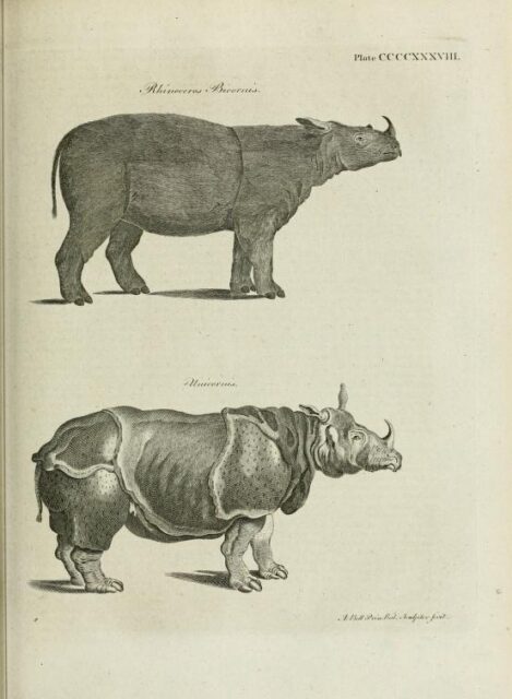 Encyclopedia 1797