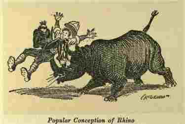 MacCutcheon 1910 Charge