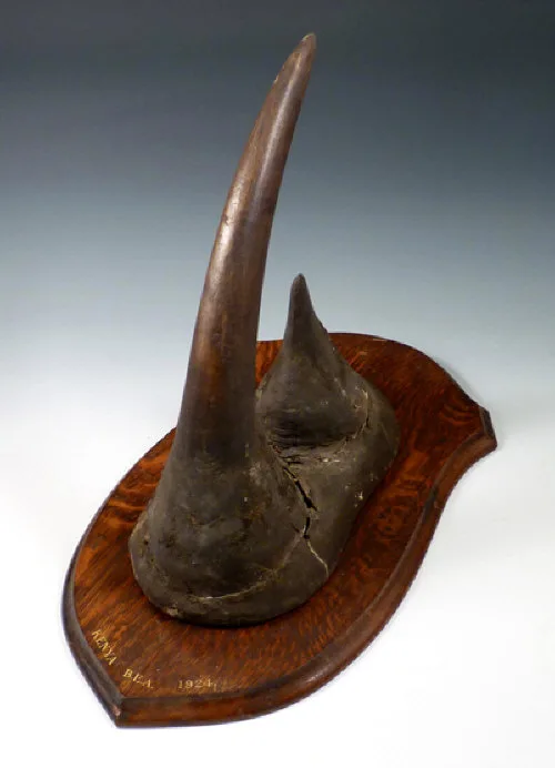 Kenya 1924