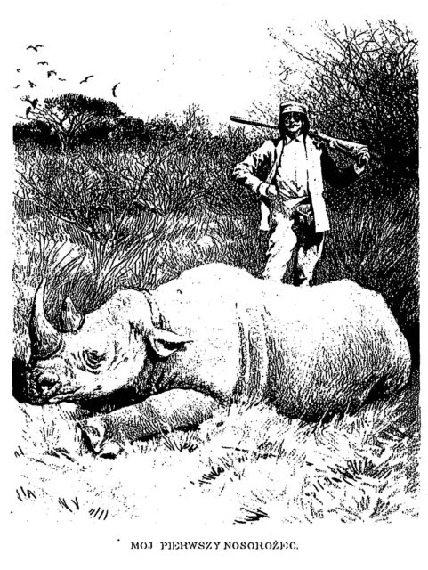 Potocki and rhino