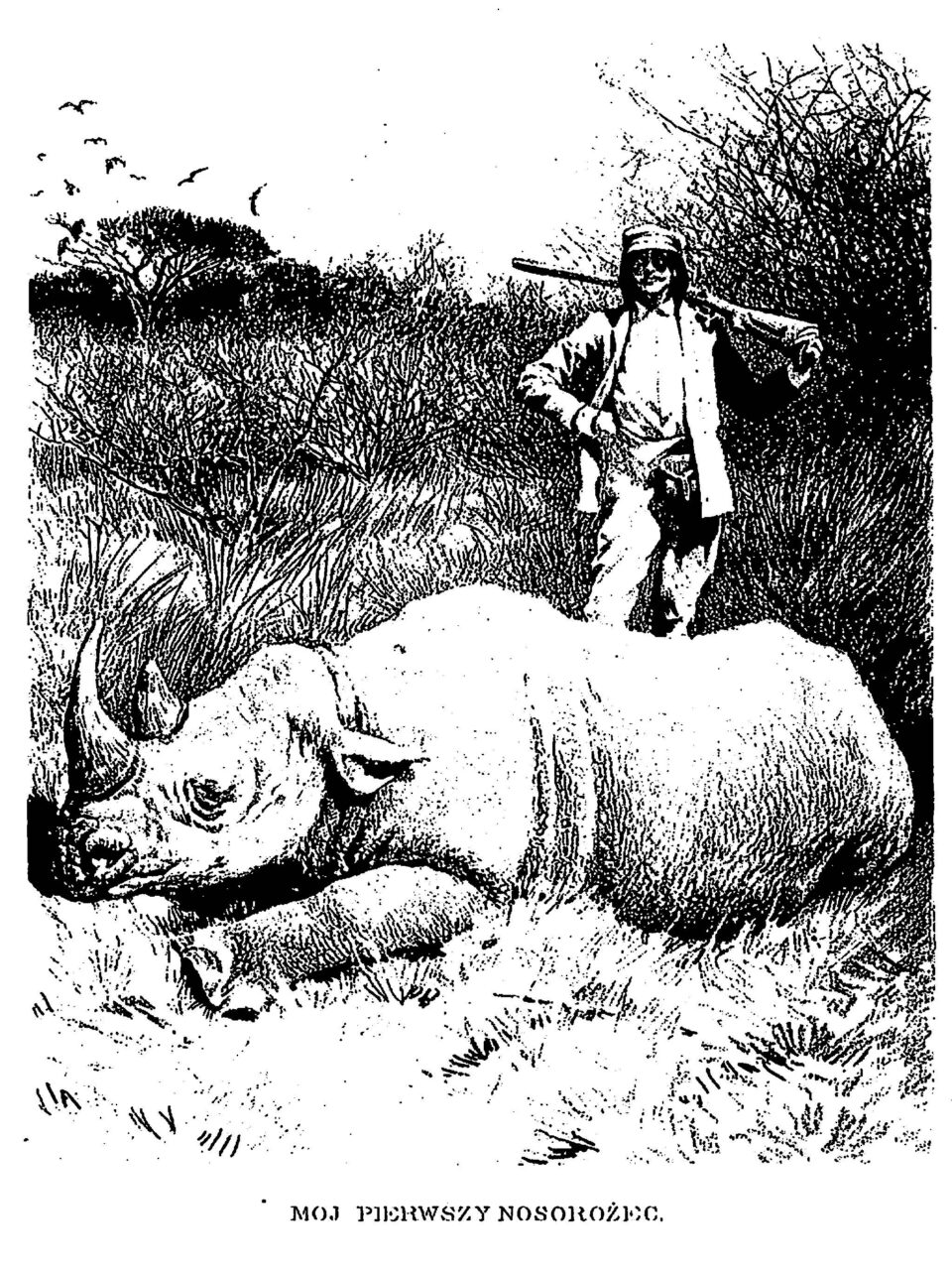 Potocki and rhino