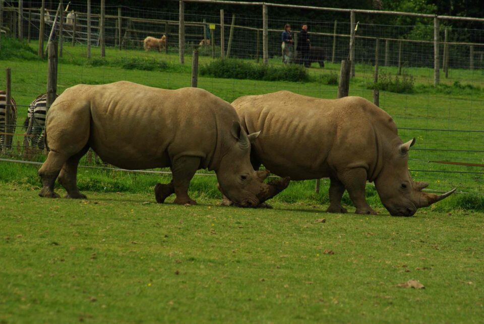 Noah’s Ark Bristol
