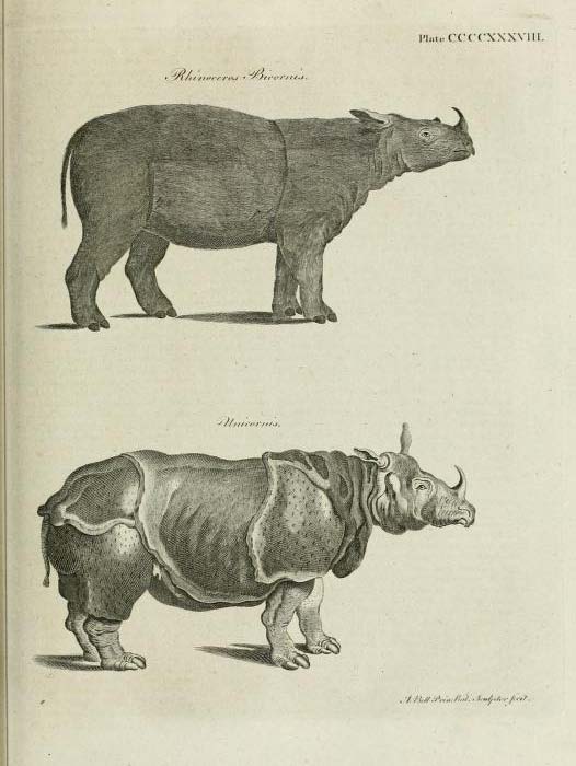 Encyclopedia Britannica