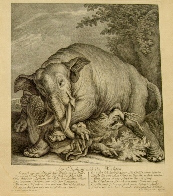 Ridinger-Fights of Killing Animals