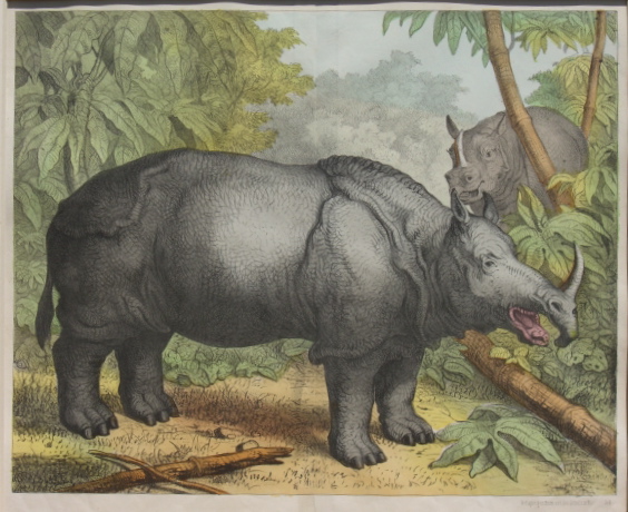 popular German image ca.1850