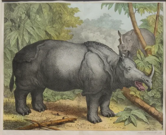 popular German image ca.1850